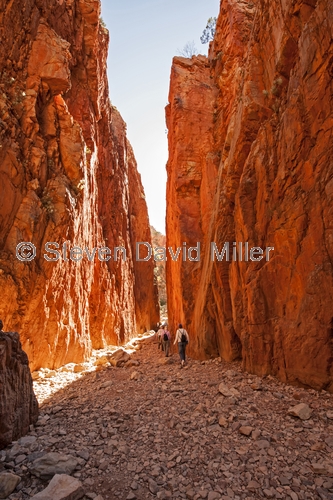 standley chasm picture;standley chasm;standleys chasm;macdonnell ranges;macdonnell ranges national park;alice springs;northern territory;northern territory national park;sandstone gorge;sandstone canyon;australian national park